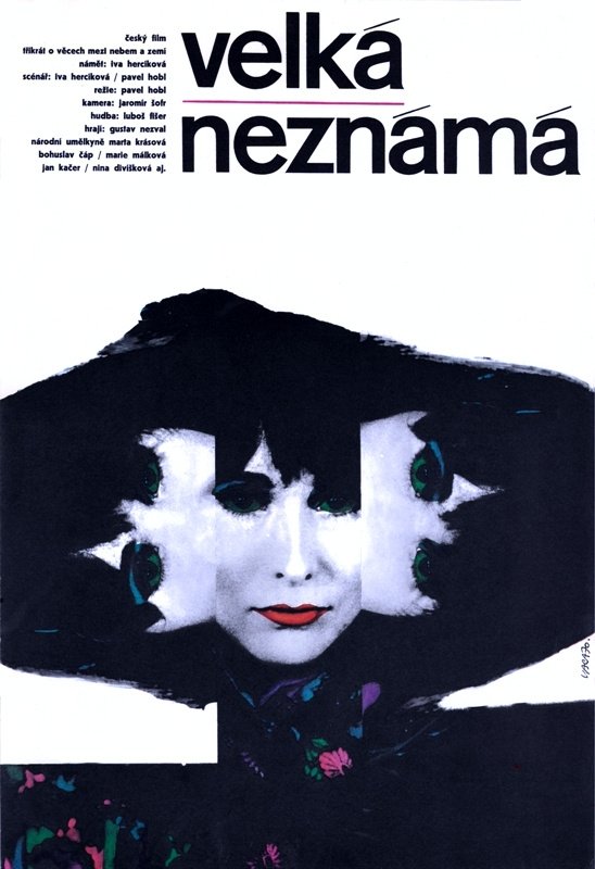 Poster de Velká neznámá