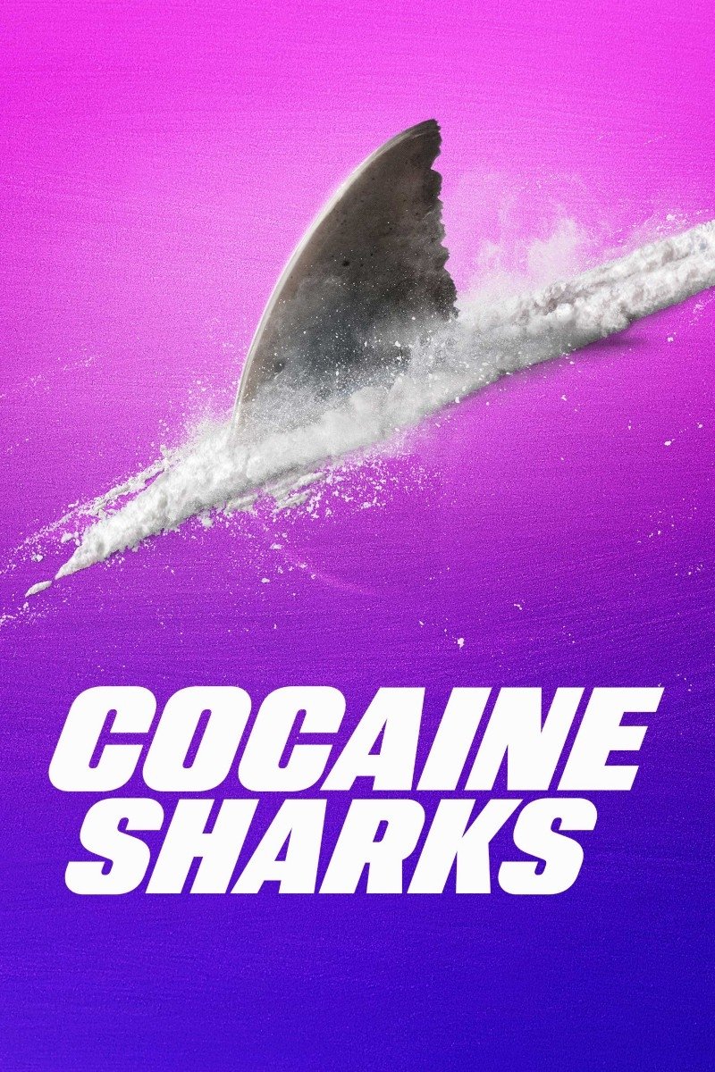 Poster de Tubarões e Cocaína