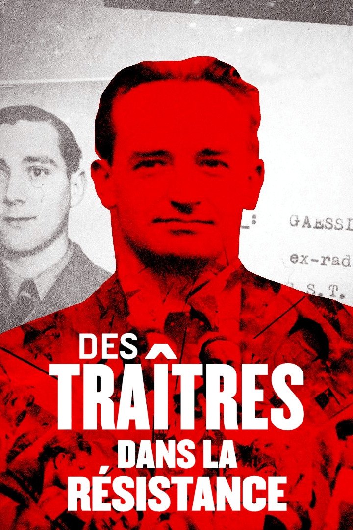 Affiche du film Des traîtres dans la Résistance