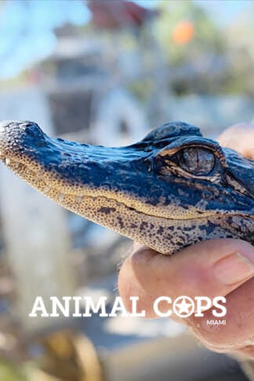 Poster de Animal Cops: Miami