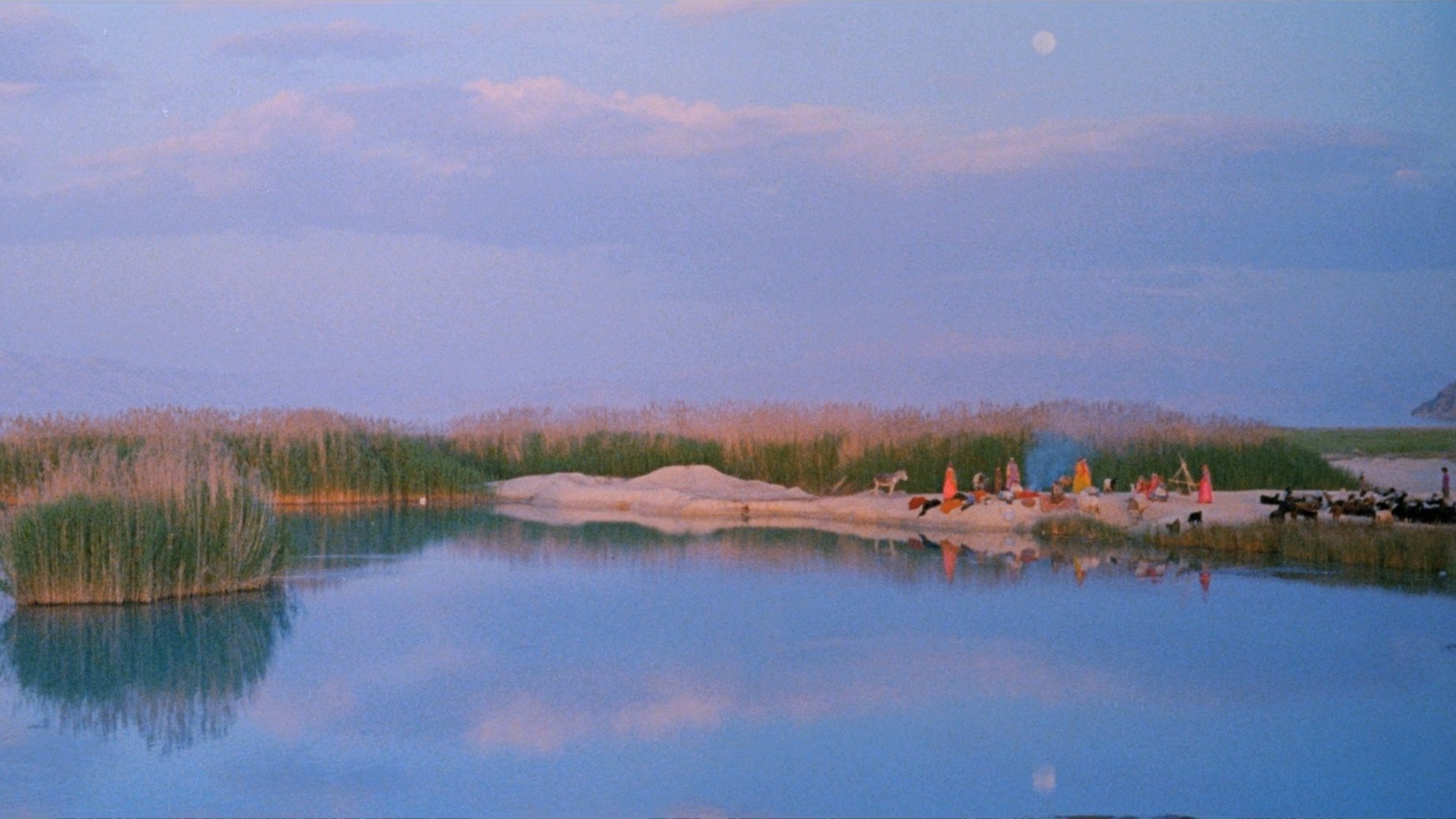 Backdrop image