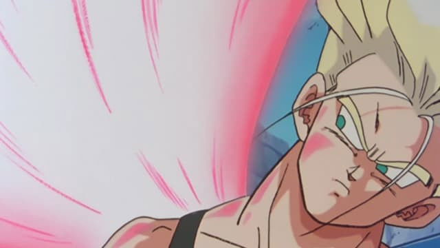 Peace for the Future! The Spirit of Goku Is Forever!