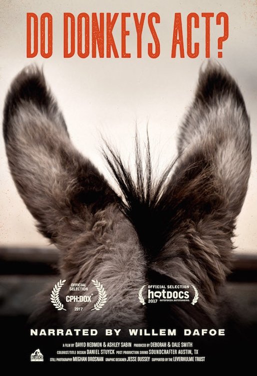 Poster de Sanctuary