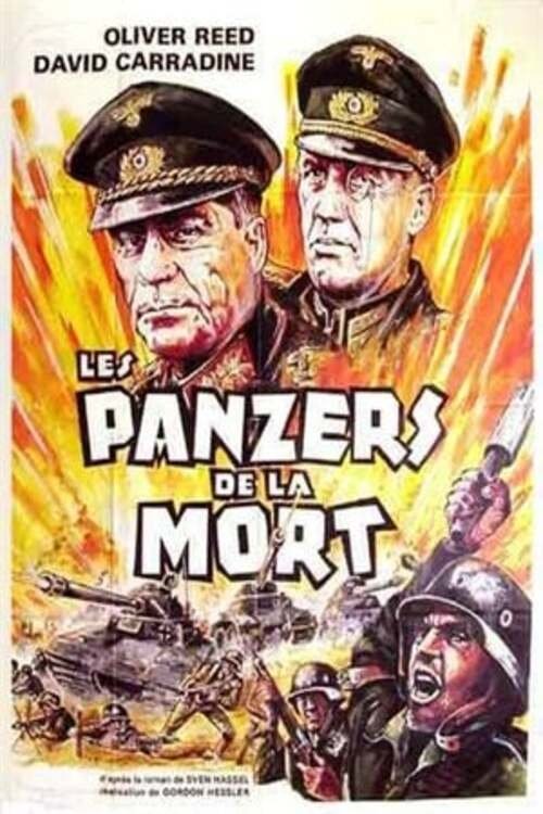 Affiche du film The Misfit Brigade