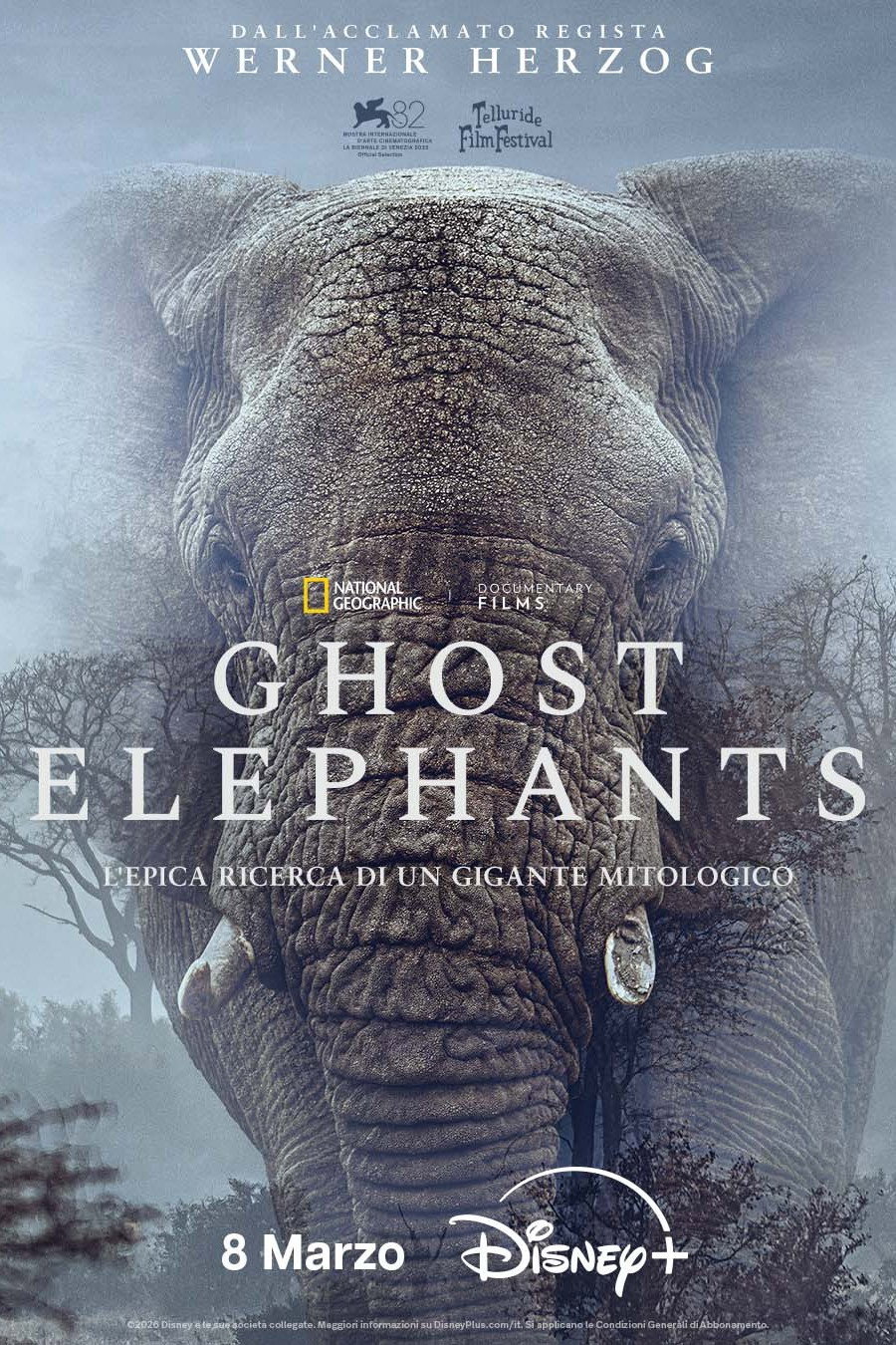Ghost Elephants