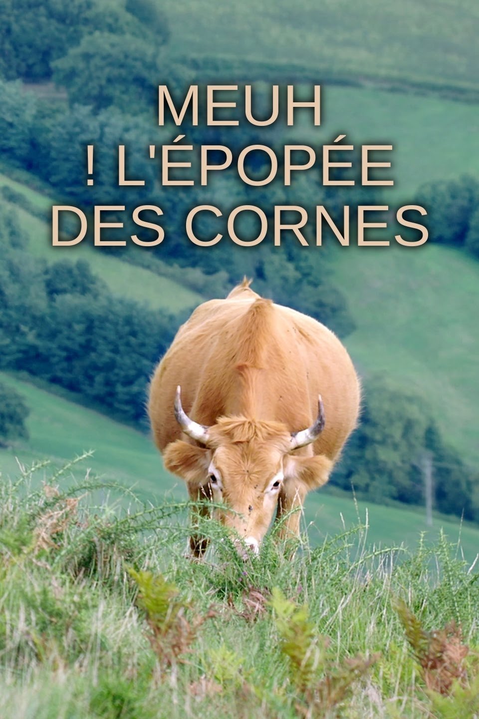 Poster de Meuh! L’épopée des cornes