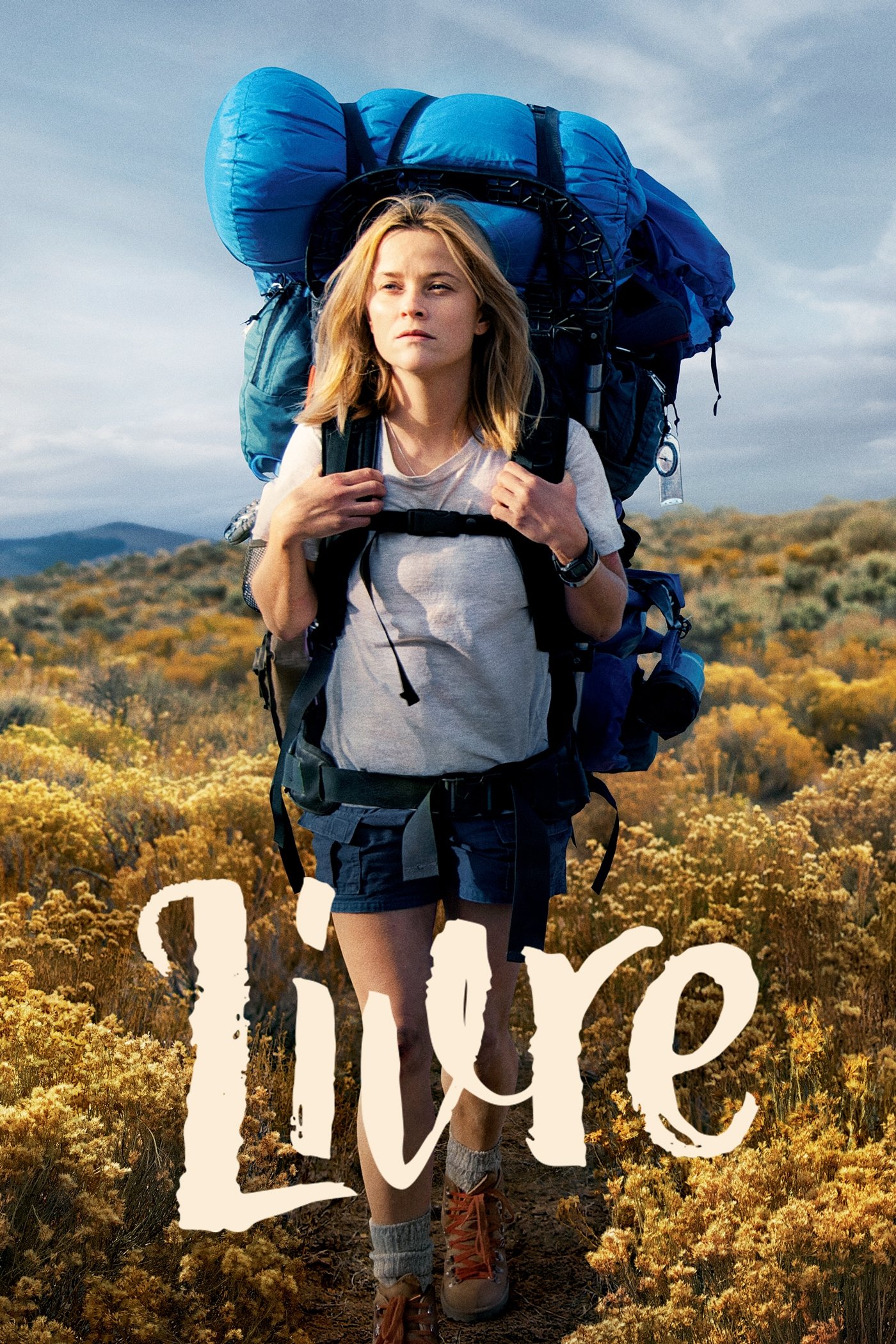 Poster de Livre