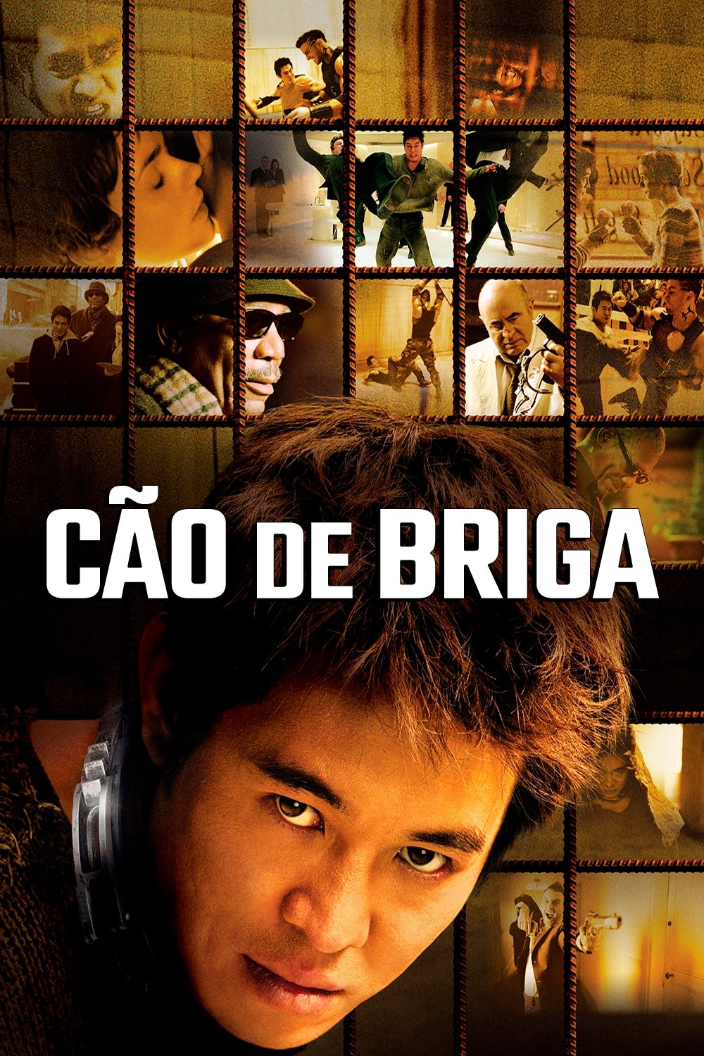 Poster de Cão de Briga