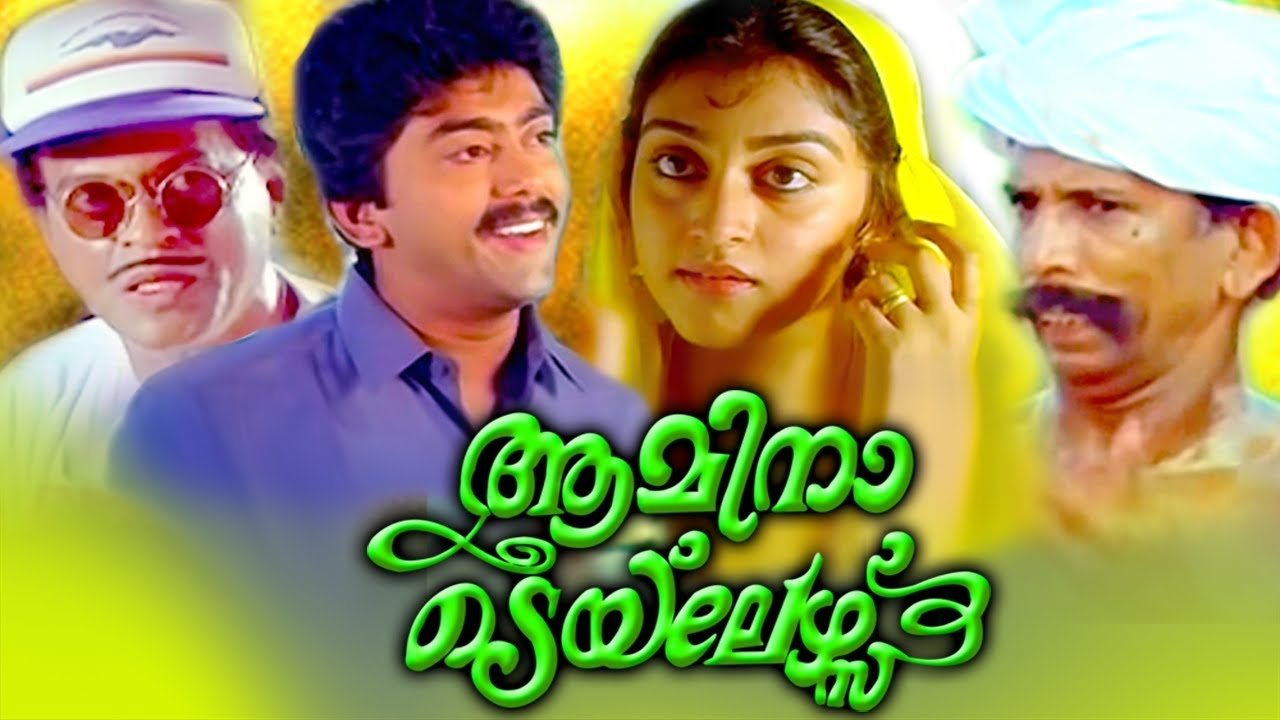 ആമിന ടെയ് ലേഴ്സ്