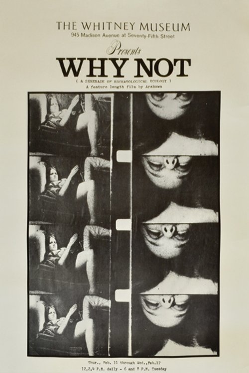 Poster de Why Not: A Serenade of Eschatological Ecology