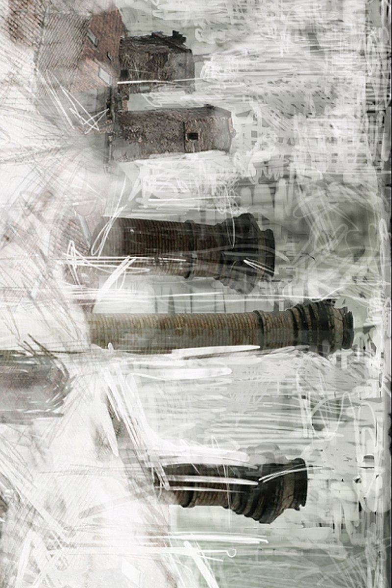 Poster de Niebla