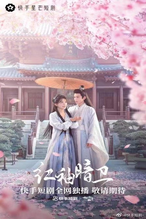 Poster de 红袖暗卫