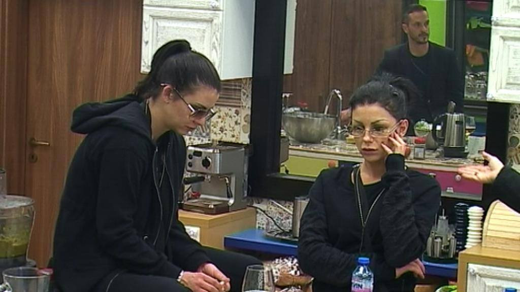 VIP Brother 2016 - Daily