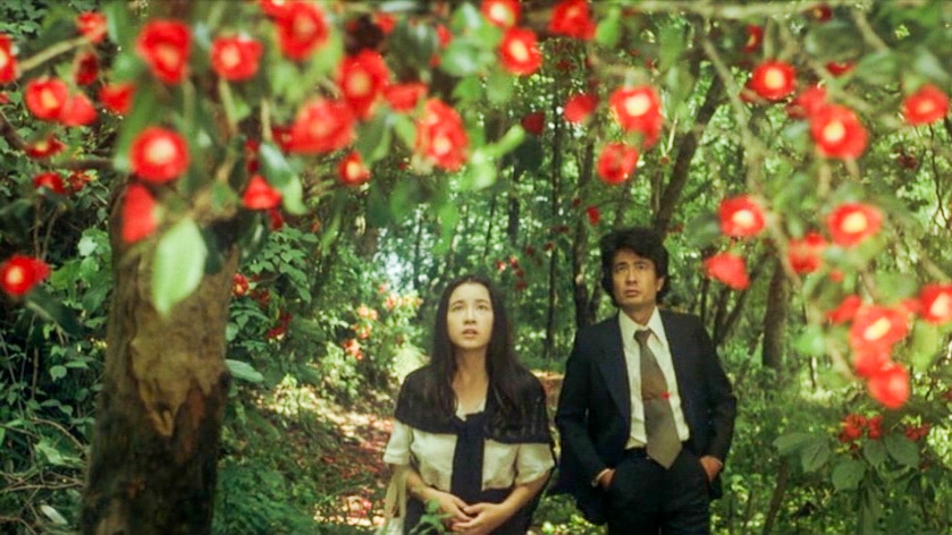 Backdrop image