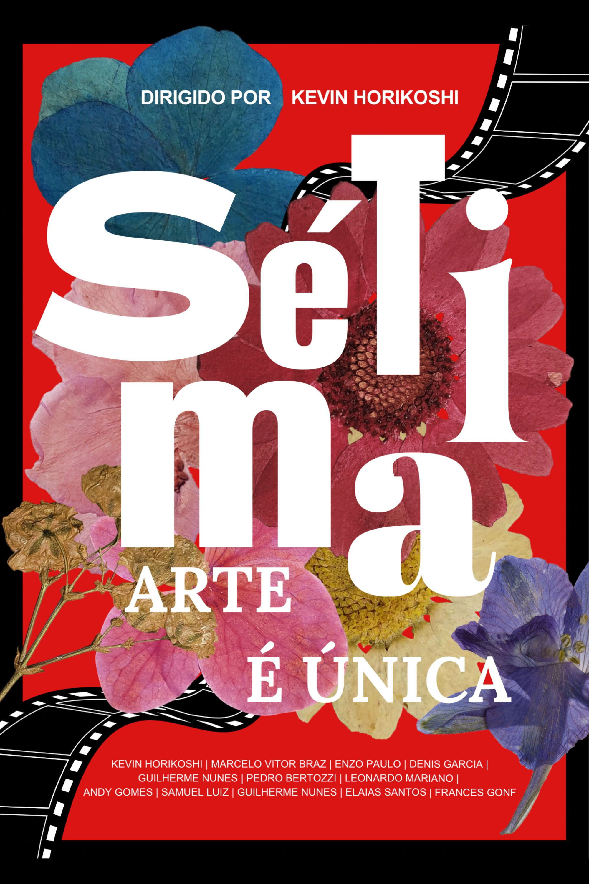 Poster de Sétima Arte é Única