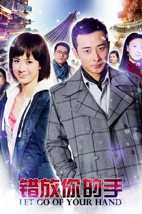 Poster de 错放你的手