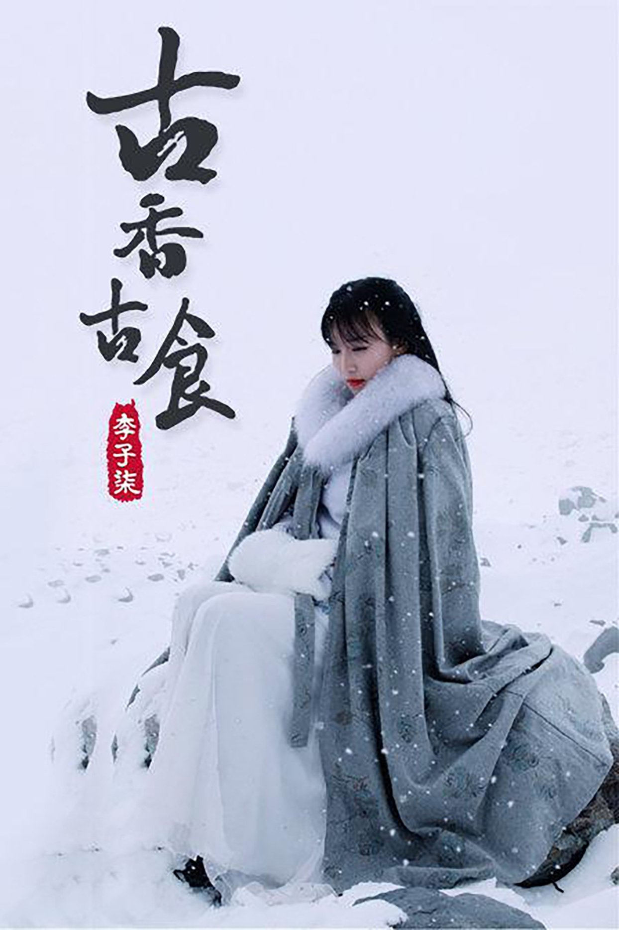 Poster de 李子柒古香古食