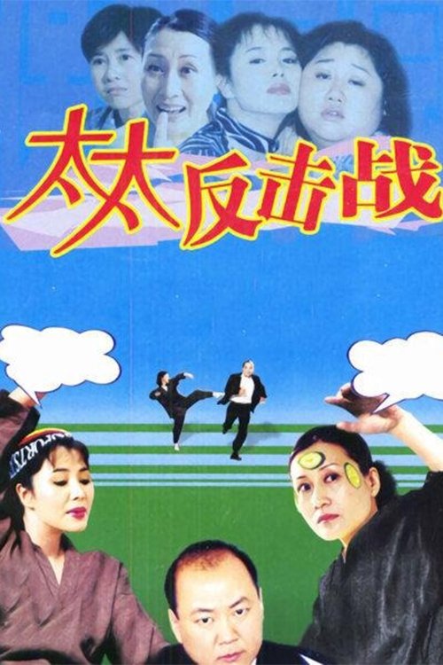 Poster de 太太反击战