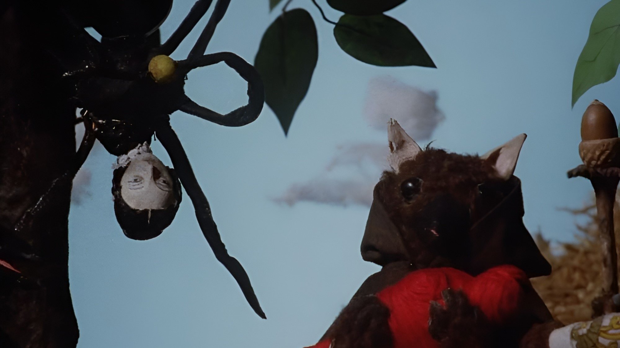Backdrop image