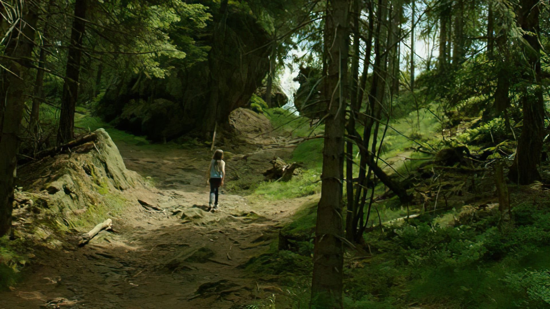 Backdrop image