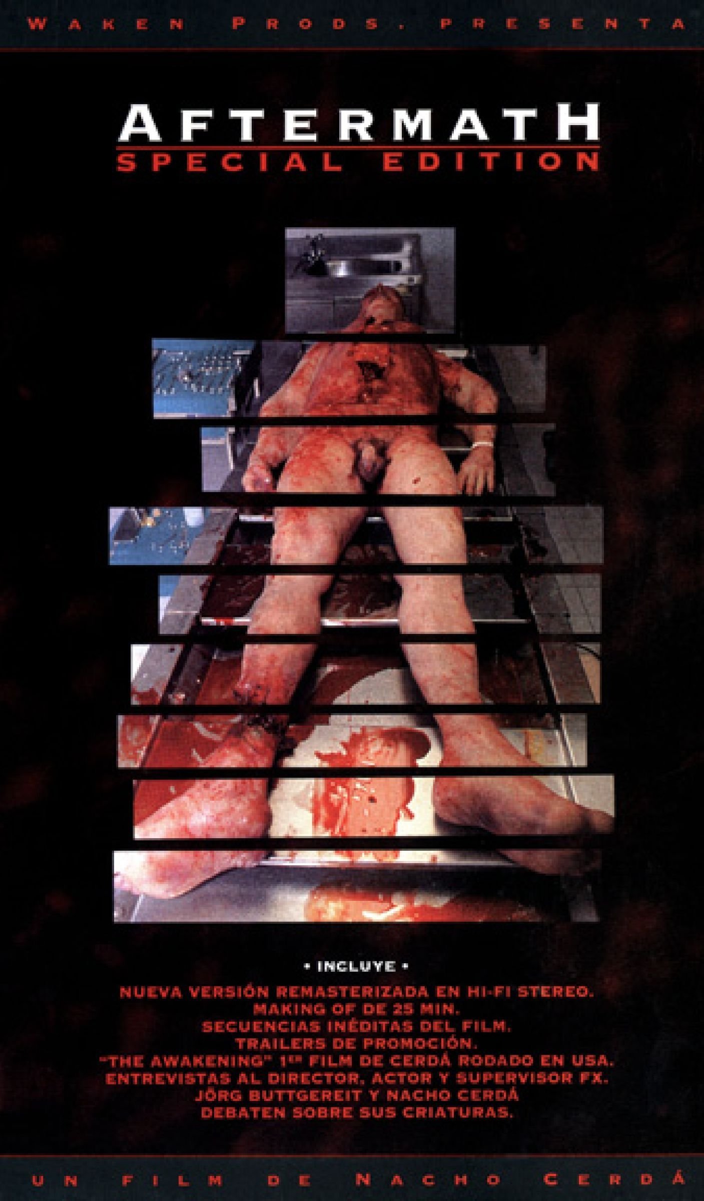 Poster de Aftermath
