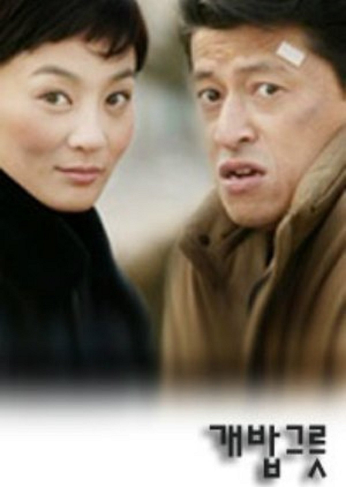 Poster de 개밥그릇