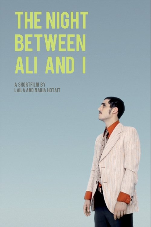 Poster de The Night Between Ali and I