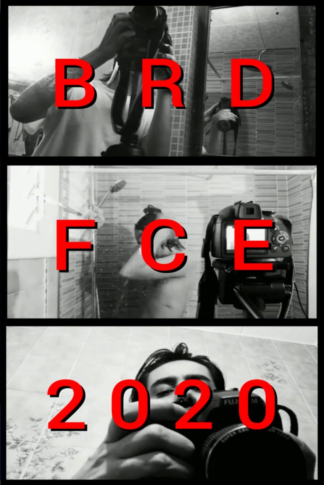 Poster de BRDFCE2020
