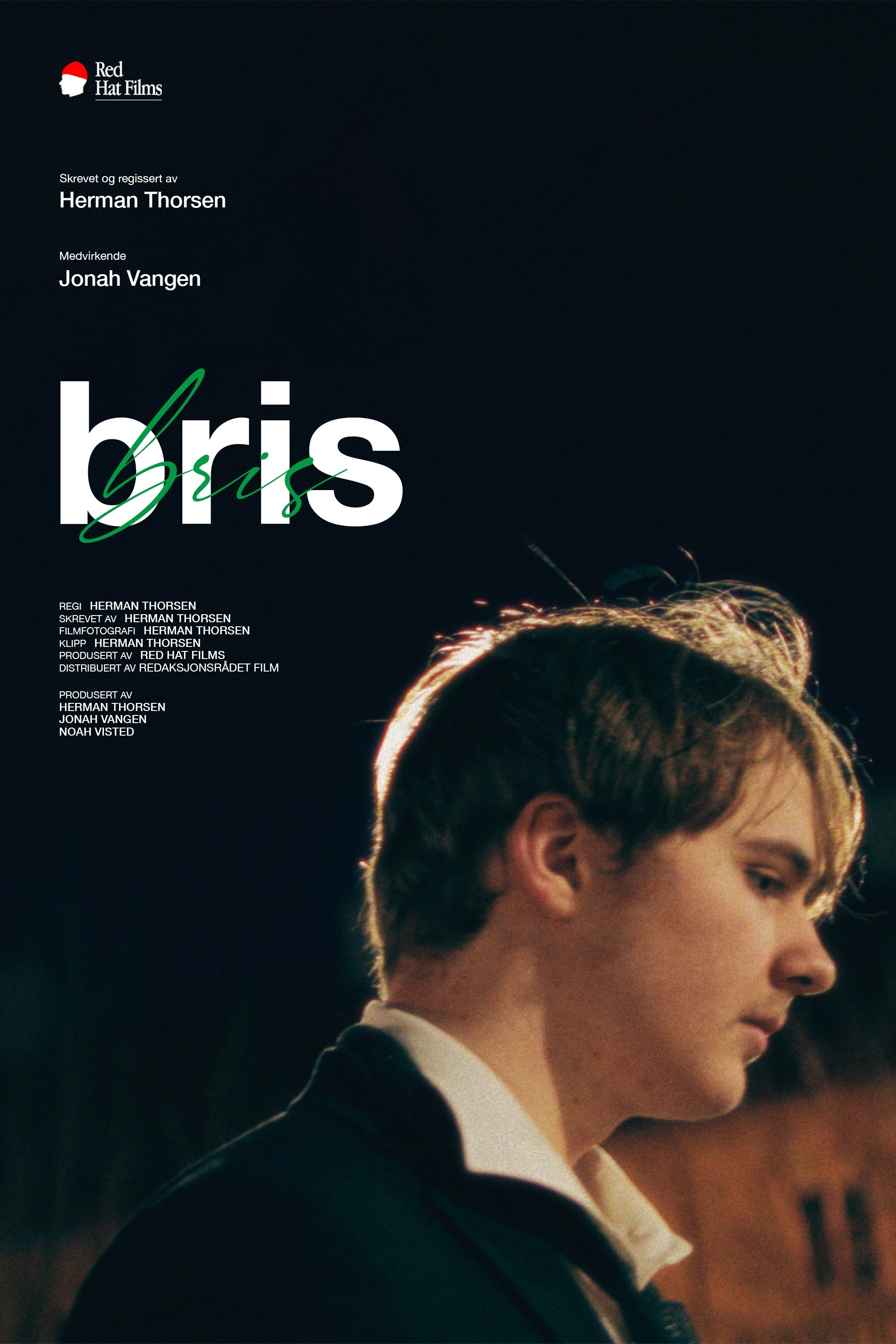 Poster de Bris
