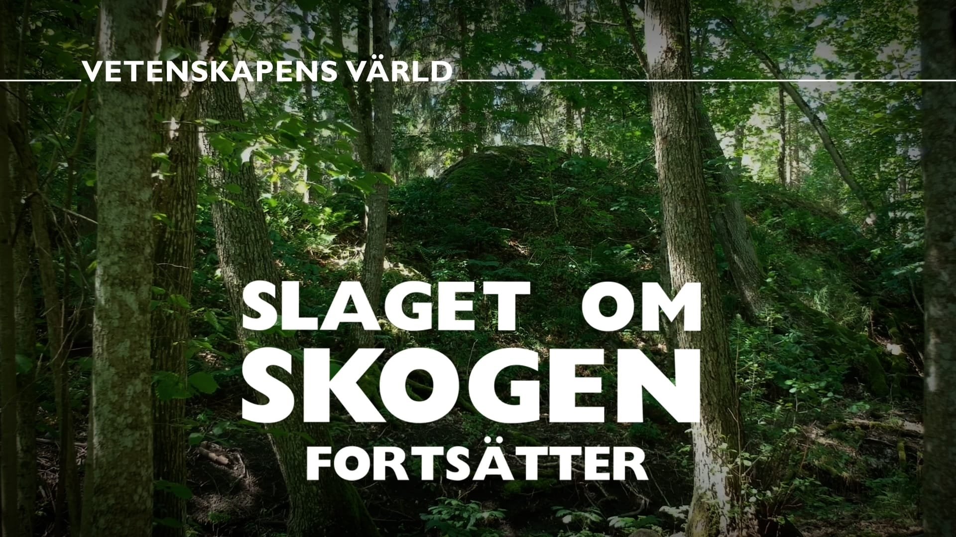 Vetenskapens värld: Slaget om skogen