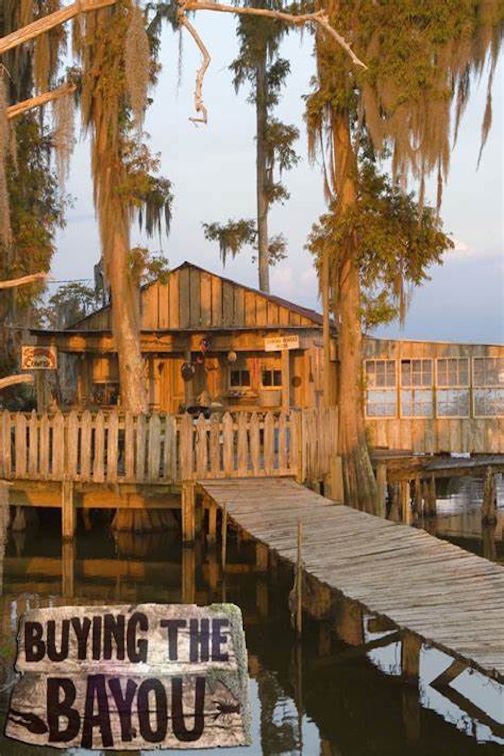 Poster of Buying the Bayou