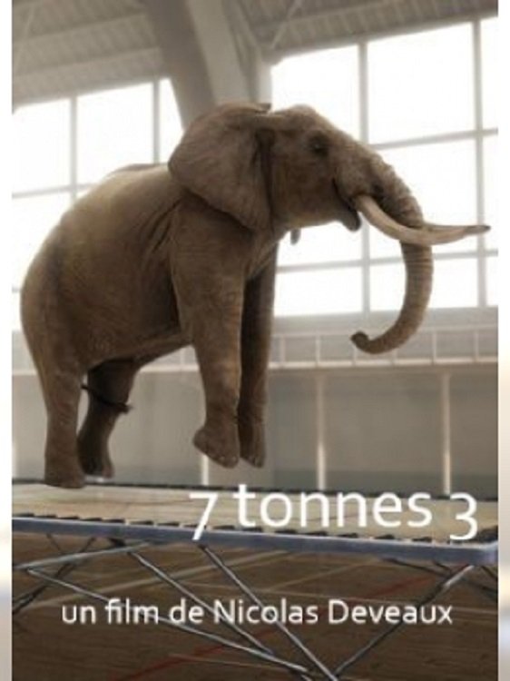 Poster de 7 Tonnes 2