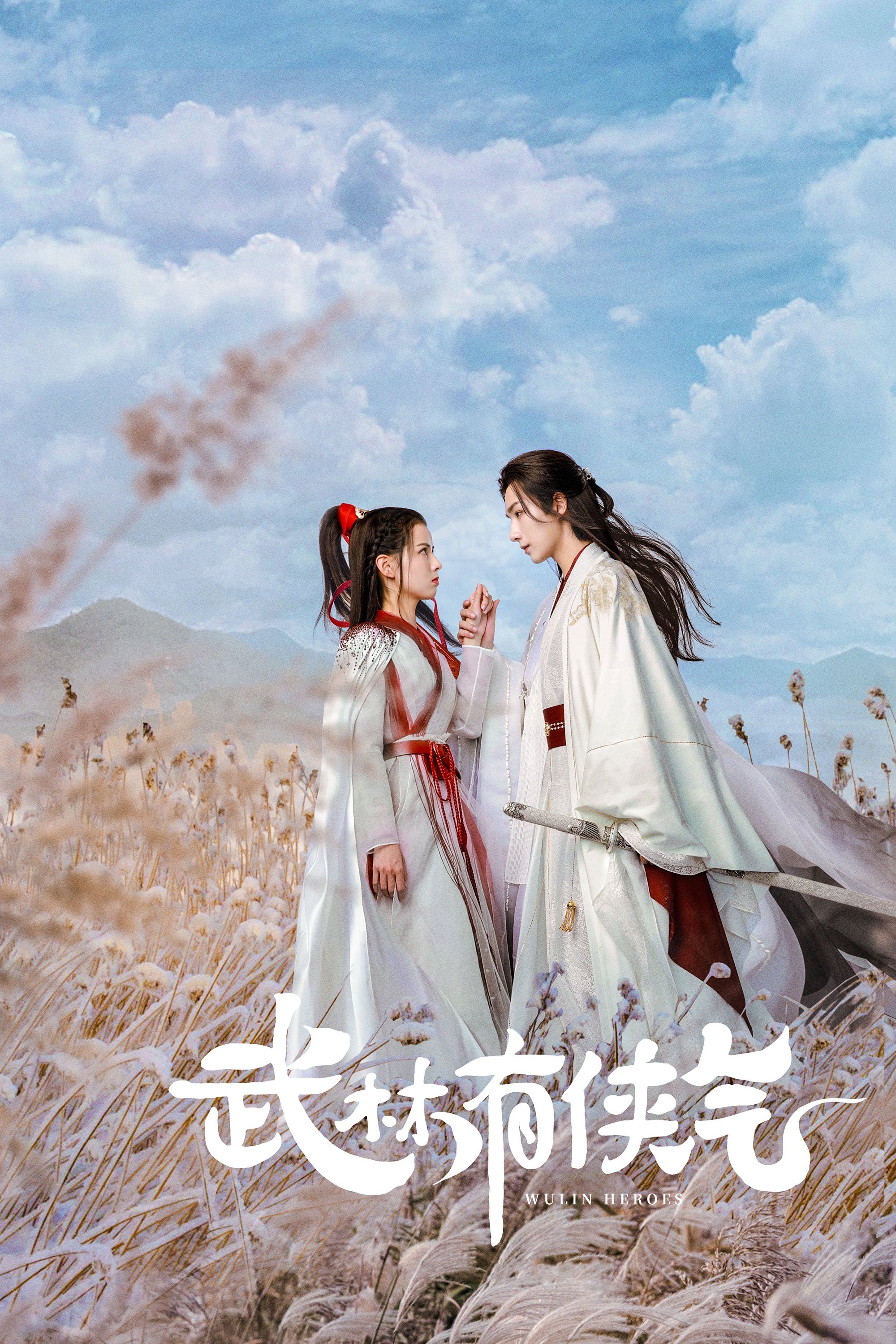 Poster de 武林有侠气