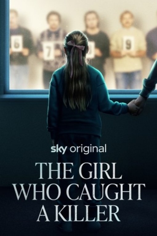 Poster de The Girl Who Caught a Killer