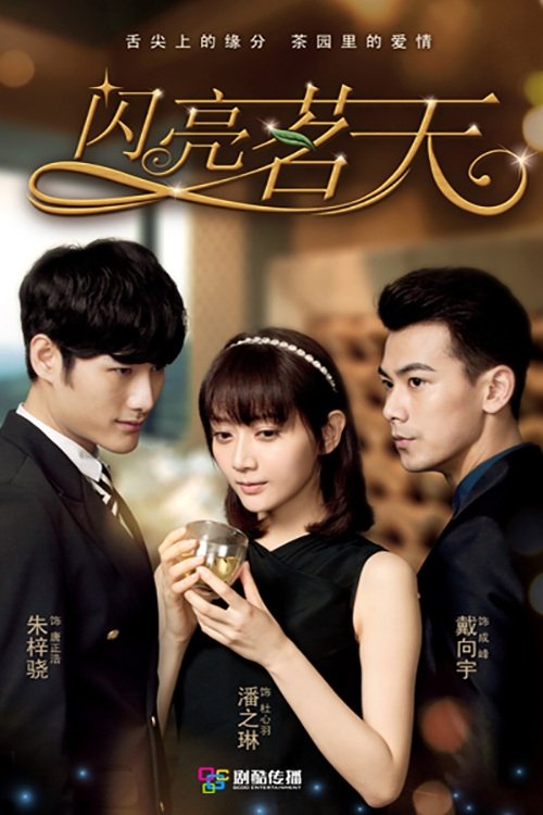 Poster de 闪亮茗天