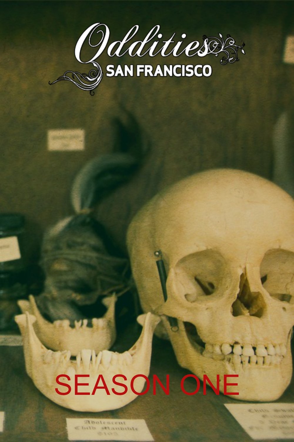 Poster de Temporada 1