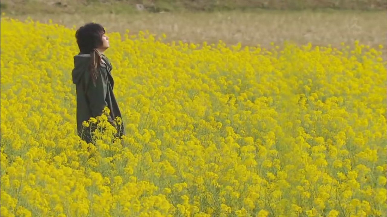 5年後のラブレター