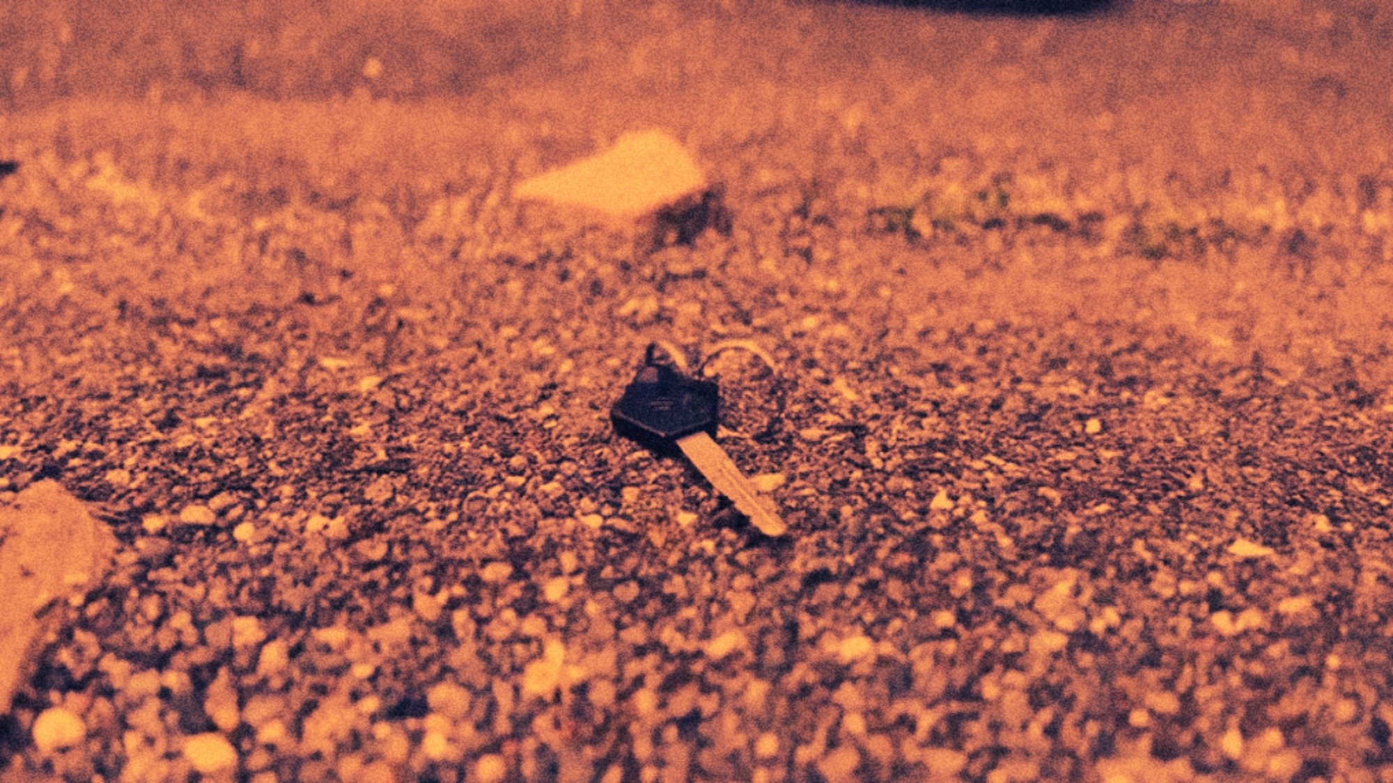 Visitor