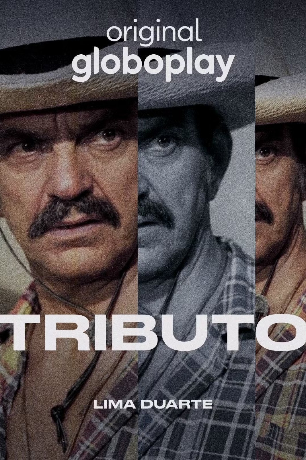 Poster de Tributo: Lima Duarte