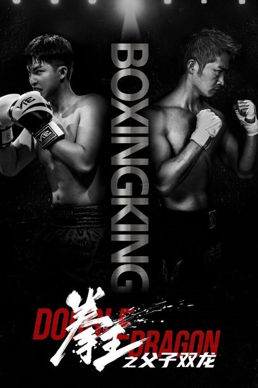Poster de 拳王之父子双龙