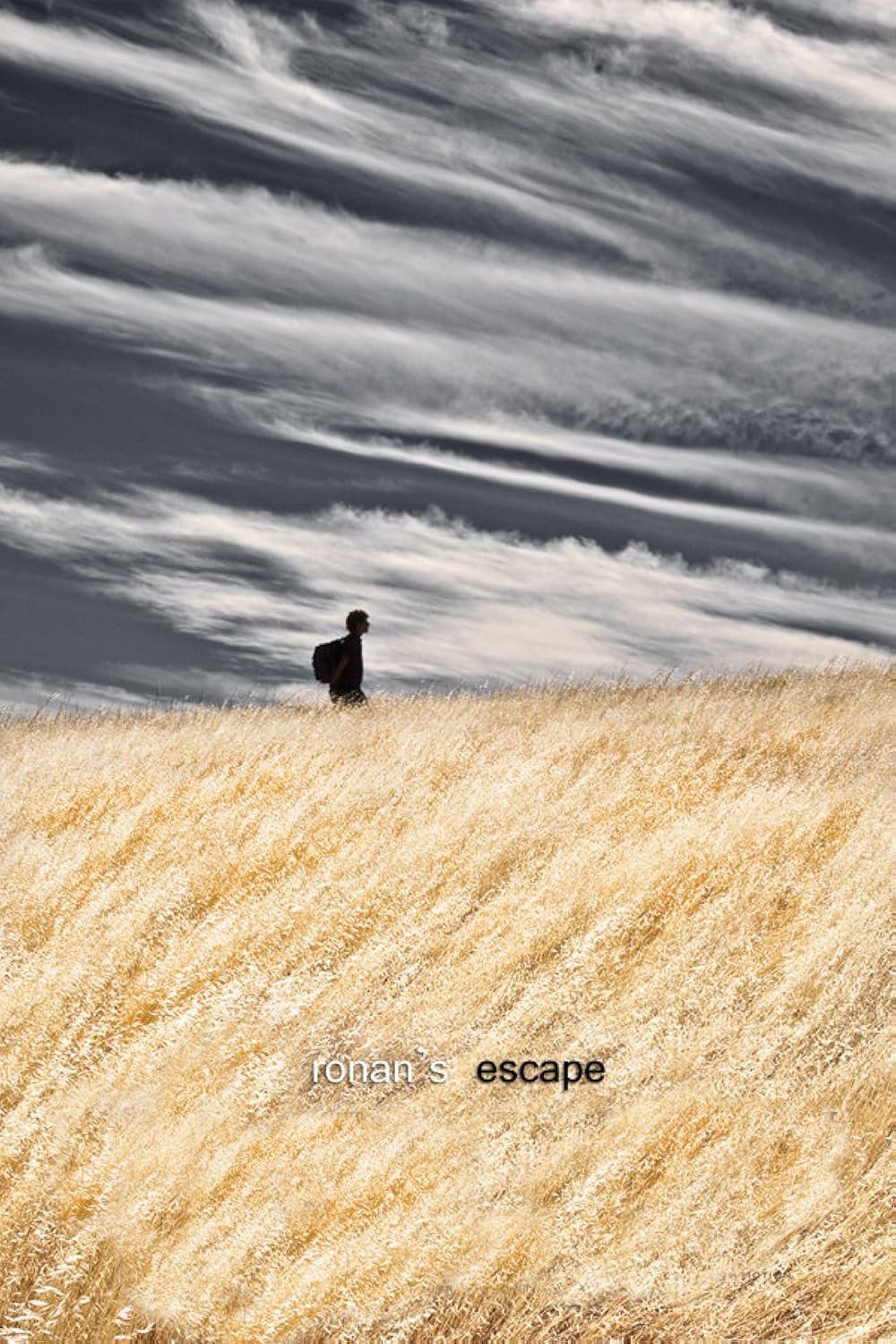 Poster de O Refúgio de Ronan