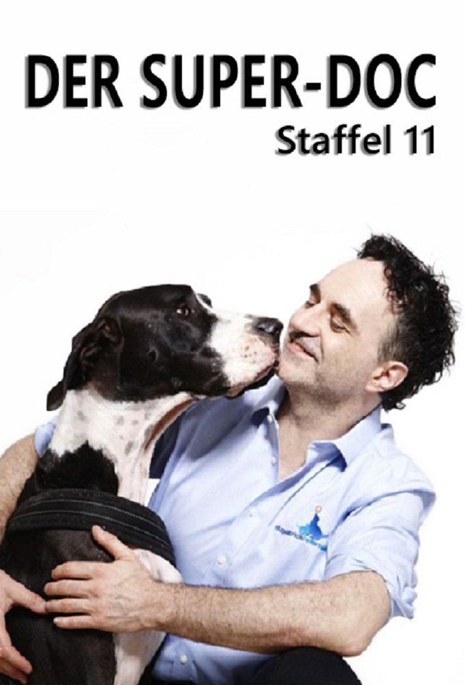 Poster de Temporada 11