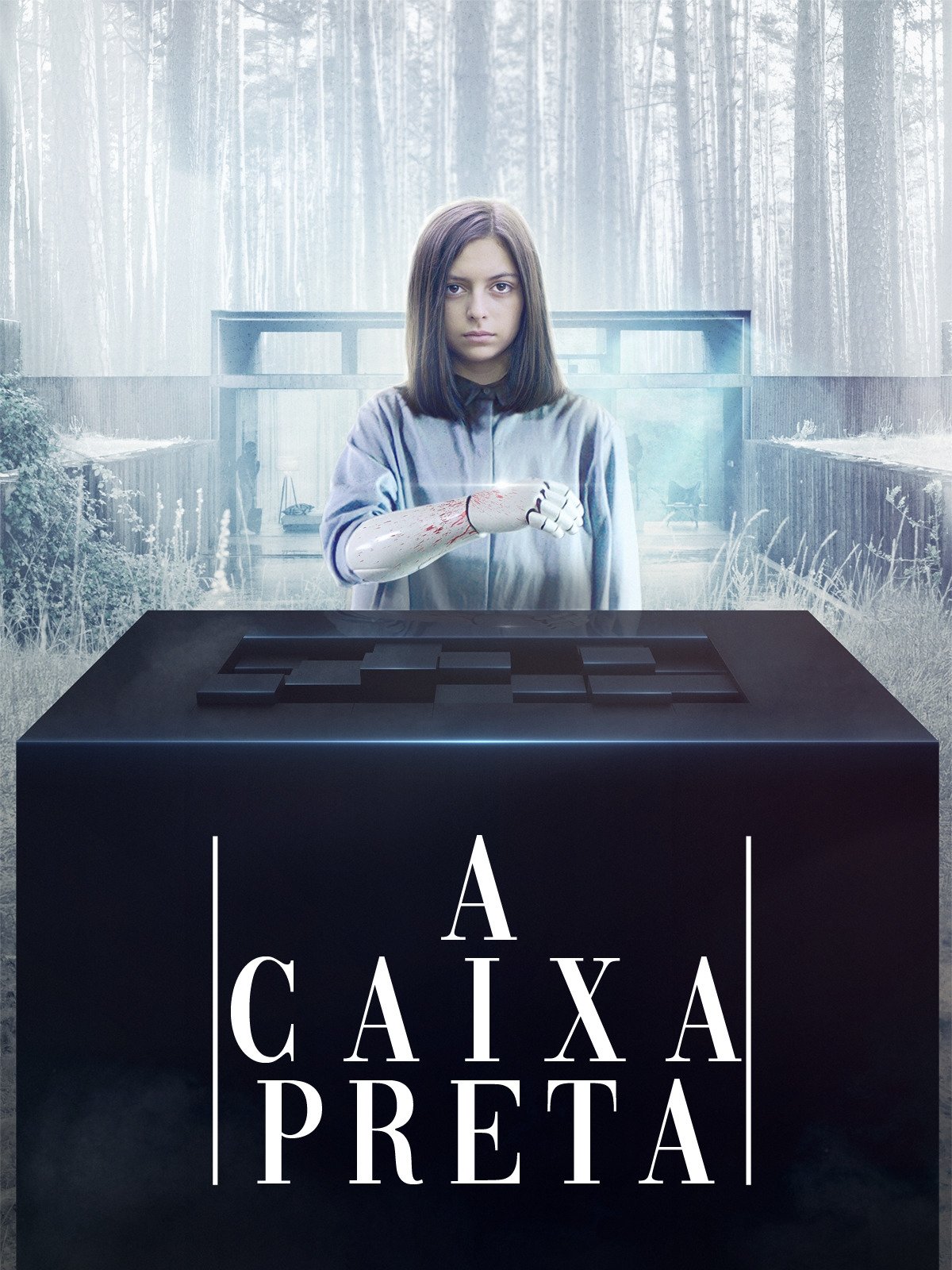 Poster de A Caixa Preta