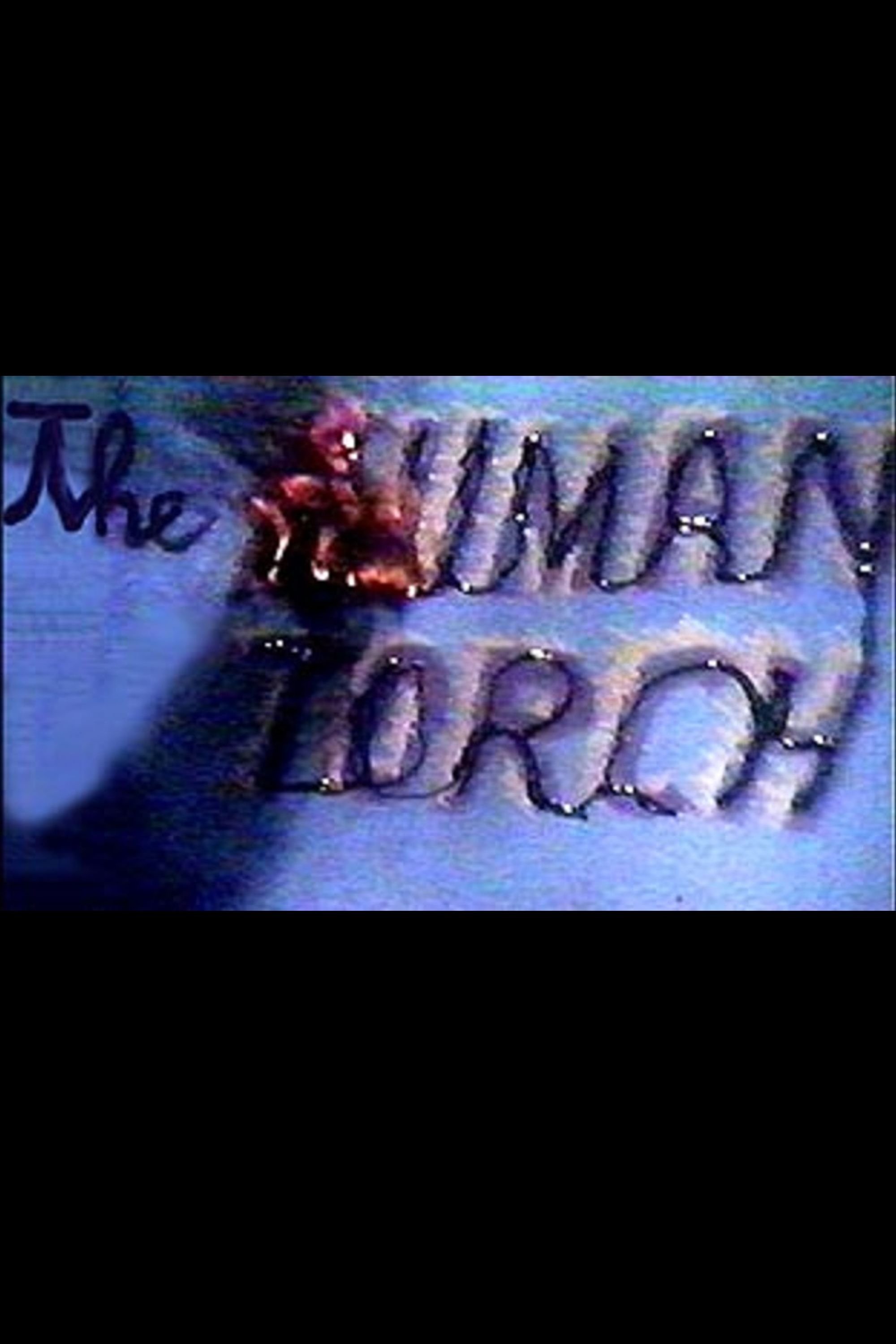Affiche du film The Human Torch