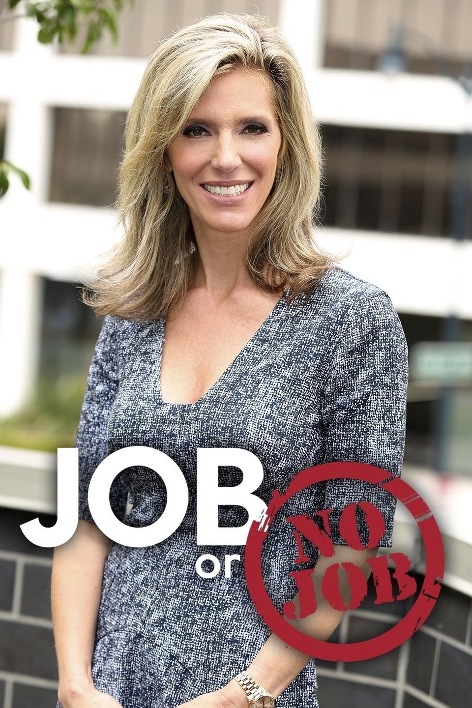 Poster de Job or No Job