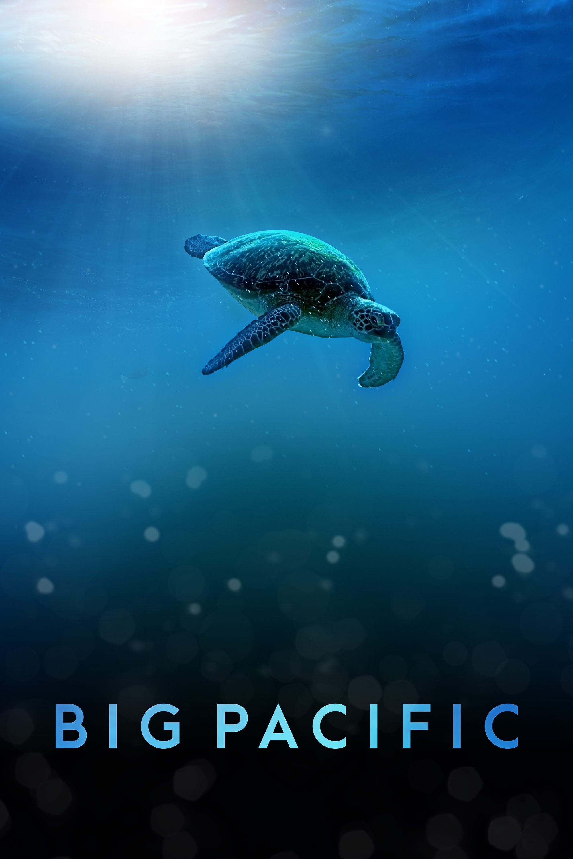 Poster de Big Pacific