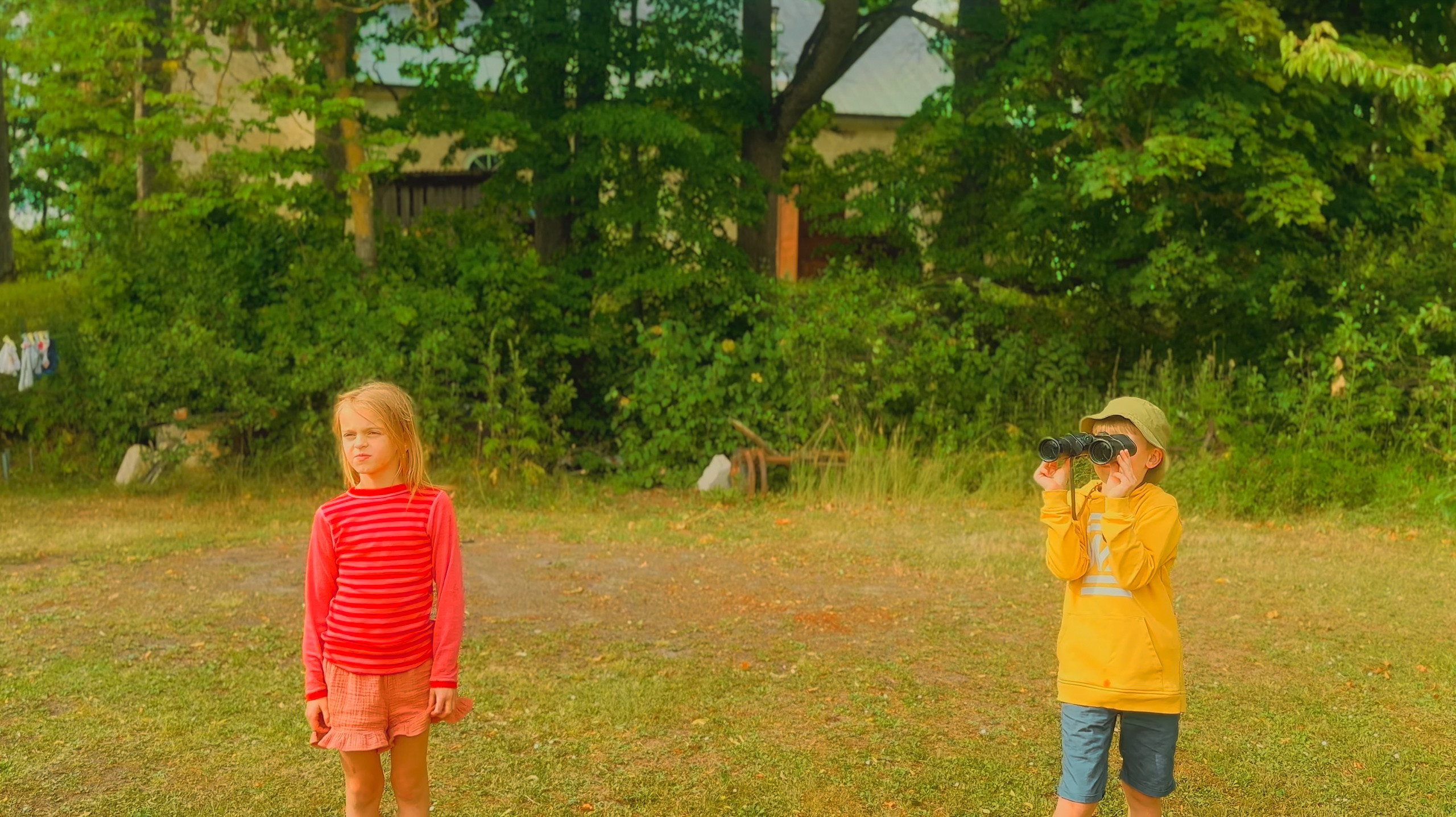 Director