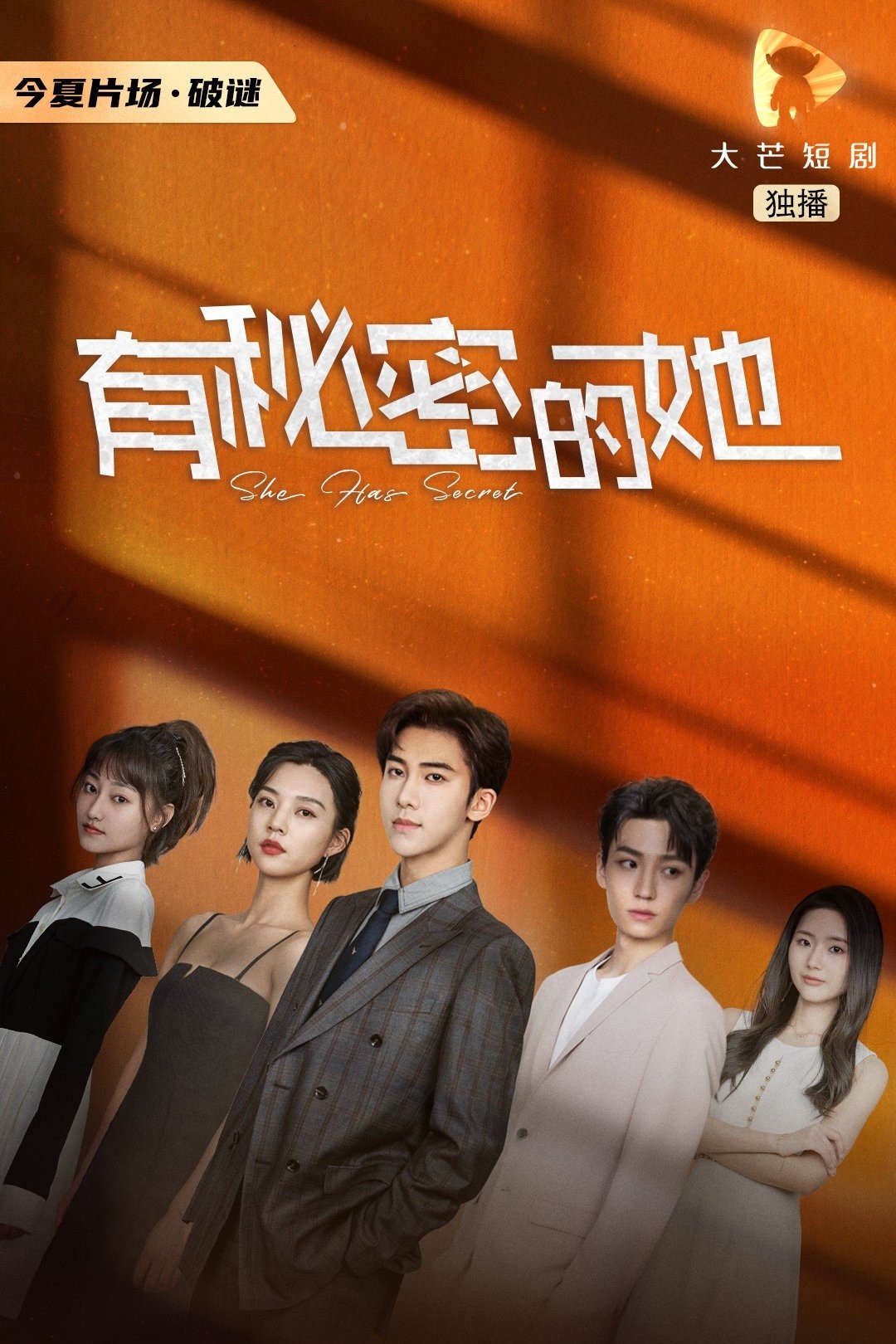 Poster de 有秘密的她