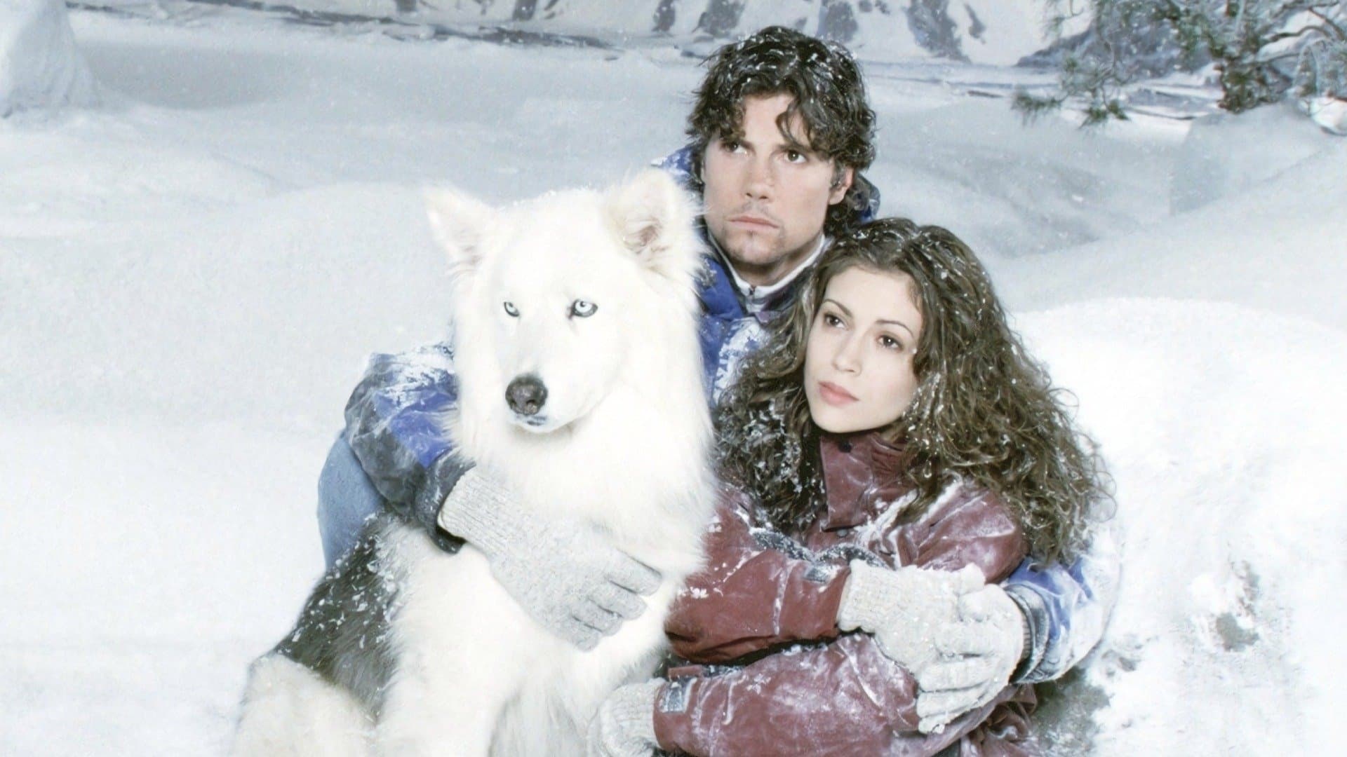 Backdrop image