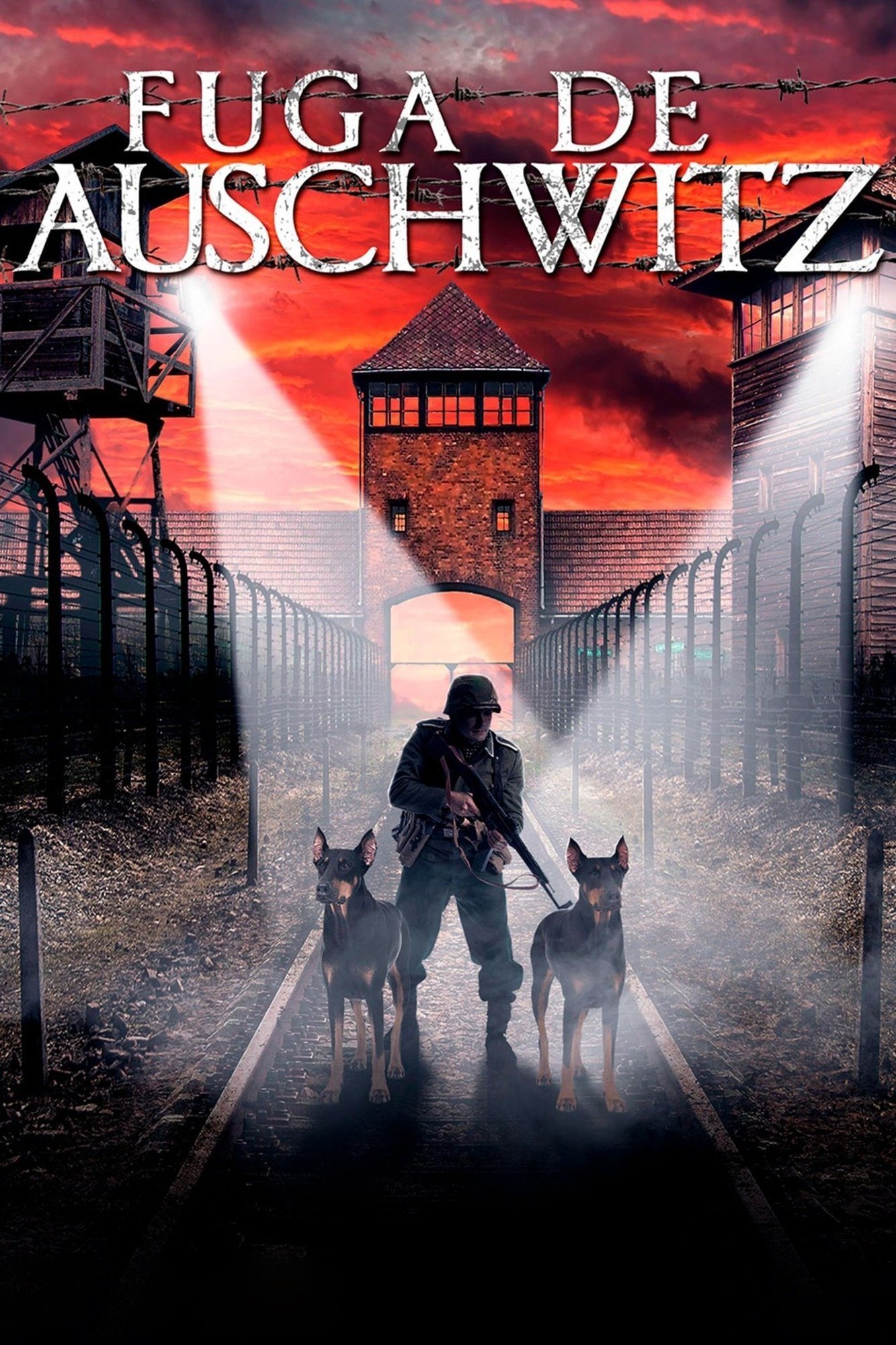 Poster de Fuga de Auschwitz